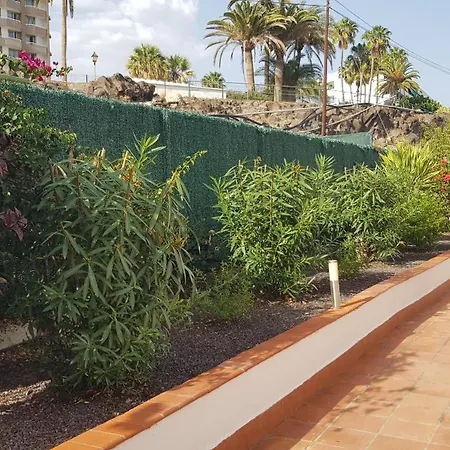 Michelle Apartment 20 Sur Y Sol Los Cristianos Los Cristianos  Exterior photo